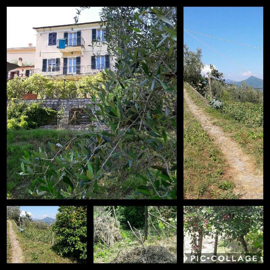 Rural House Rondini Hotel Camposasco Ngoại thất bức ảnh