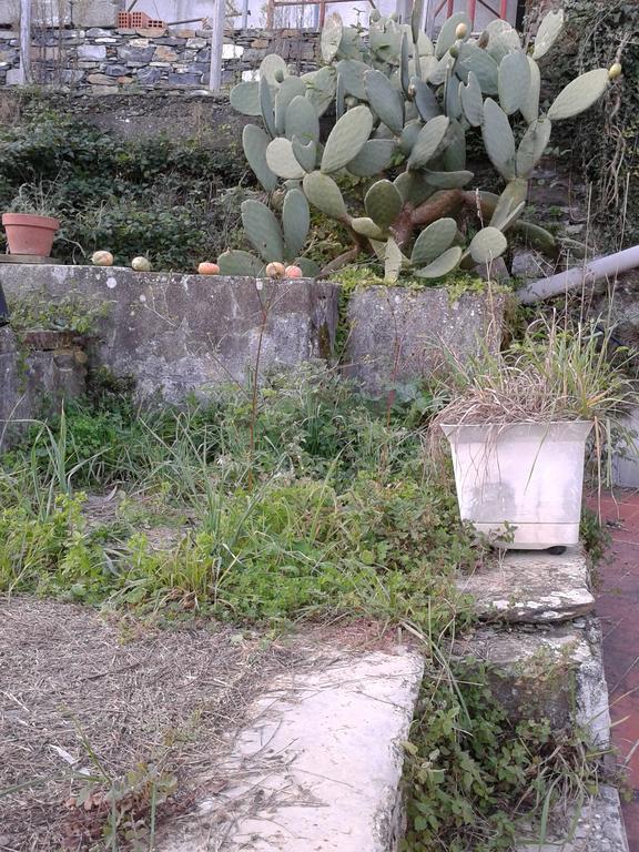 Rural House Rondini Hotel Camposasco Ngoại thất bức ảnh